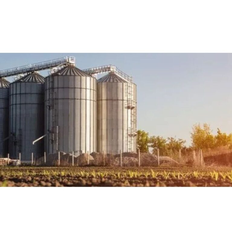 Paddy Silo Storage Tanks grain storage system