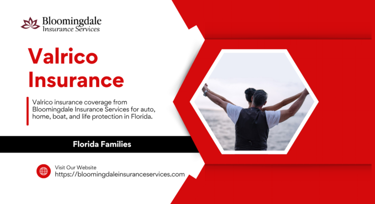 valrico insurance