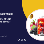 e de levensduur van de batterij te maximaliseren op JNR Falcon X Plus 28000