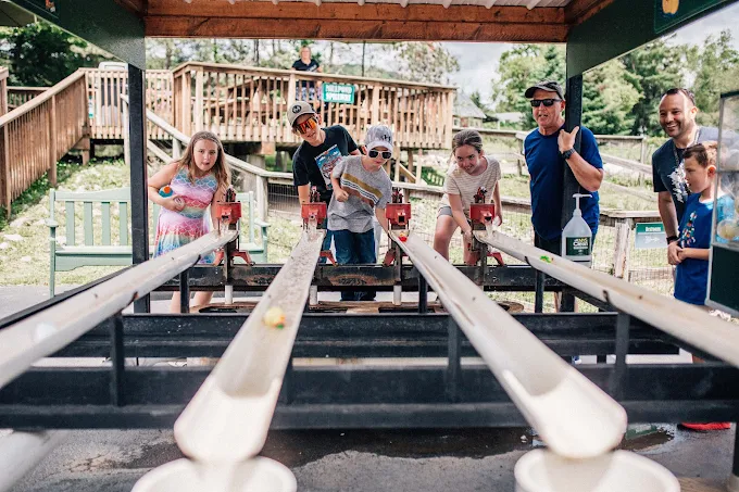 family activities