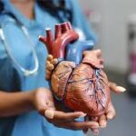 cardiologist