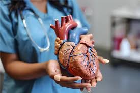 cardiologist