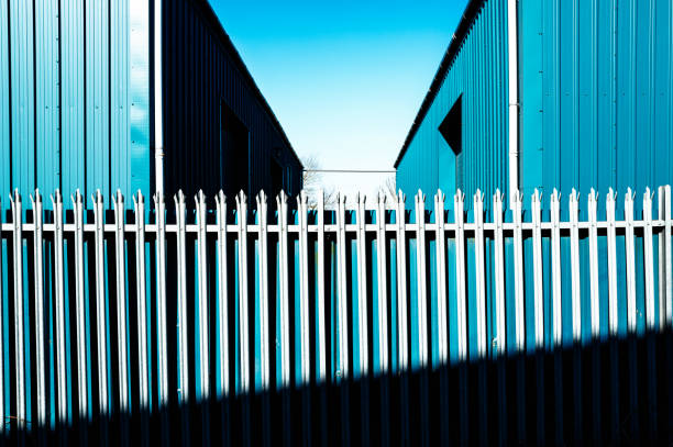 istockphoto-2203012804-612x612