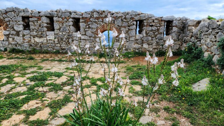 karystos Villas