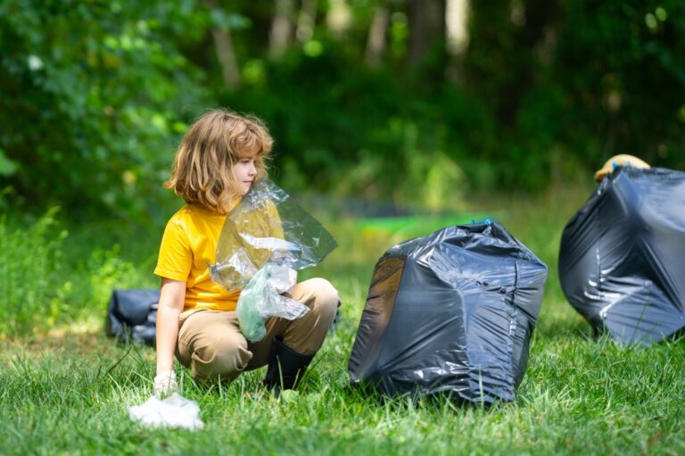 Professional Junk Removal in Santa Clara