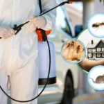 Pest Control Services Lahore: The Key to a Healthier, Safer, and Pest-Free Home