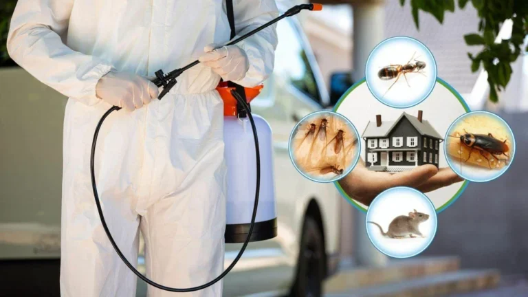 Pest Control Services Lahore: The Key to a Healthier, Safer, and Pest-Free Home