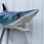 imageye___-_imgi_12_mako-shark-82-hm-mouthview__99707.1757438823