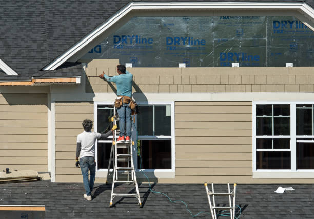 istockphoto-2167825925-612x612