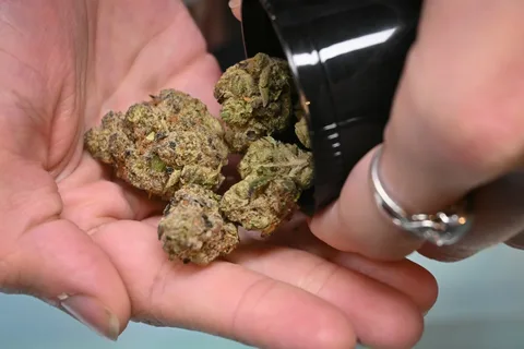 weed delivery services