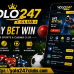 yolo247