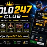 yolo247 (3)