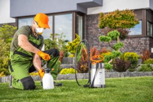 pest-control