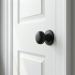 Black_door_knob_on_white_202607081140