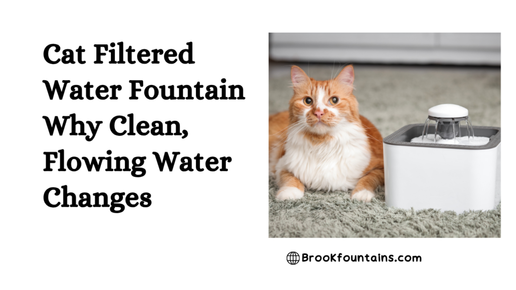 Cat Filtered Water Fountain