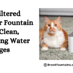 Cat Filtered Water Fountain