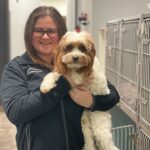 Emergency Vet