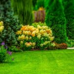 Landscape Design