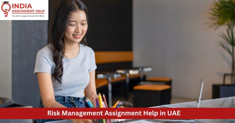 risk management assignment help