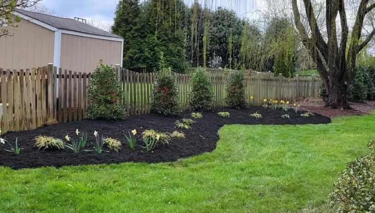 Patio Contractors