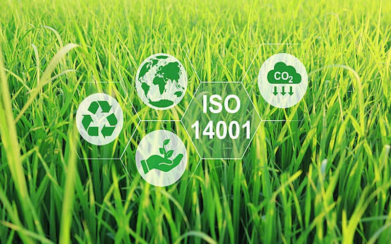 ISO 9001 Certification Audit