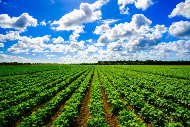 How Online Land Research Tools Help You Research Land Before You Buy
