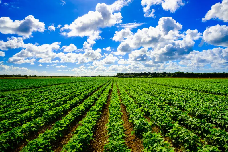 How Online Land Research Tools Help You Research Land Before You Buy