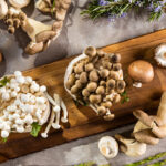 Mushroom Supplements