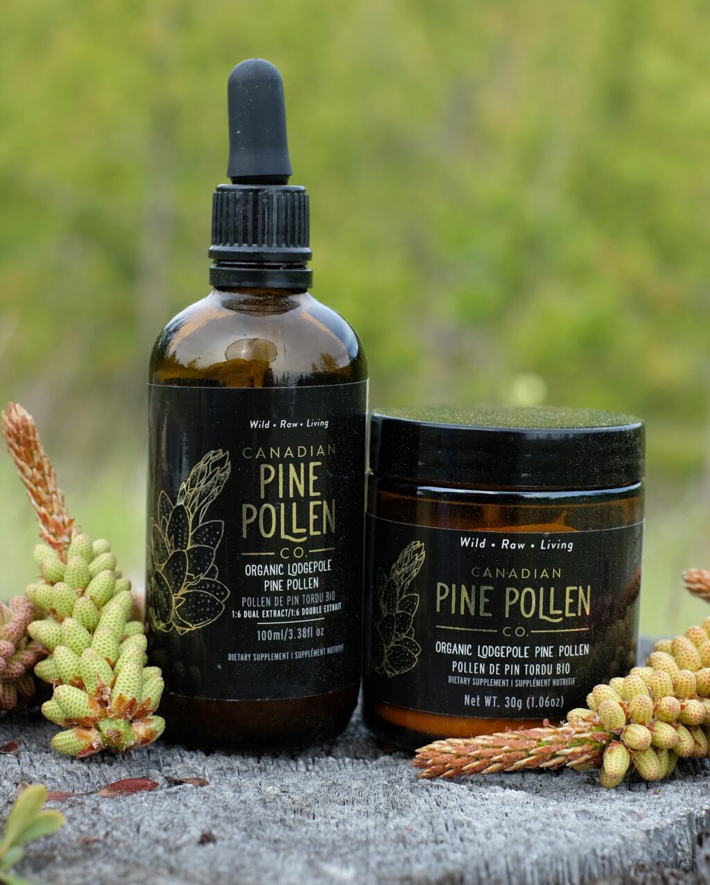 best pine pollen supplement