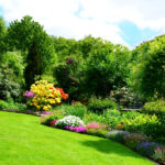 Common Landscaping Mistakes Professional Landscaping Services Can Prevent