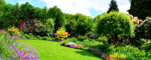 Common Landscaping Mistakes Professional Landscaping Services Can Prevent