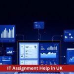 it assignment help uk