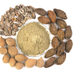 Terminalia Chebula Extract