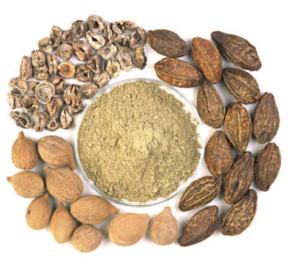 Terminalia Chebula Extract