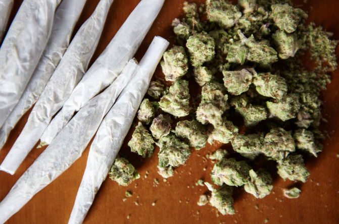 CBD Pre Rolls