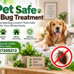 Bed Bug