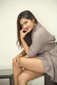 Goa Escort Agency