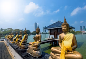 colombo