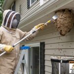 Pest Control Gerrards Cross Pest Control Taplow Pest Control Colnbrook