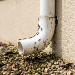 Air Conditioner Insects: Why They Appear and How to Keep Them Away