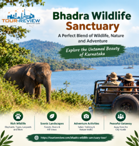 Bhadra Wildlife Sanctuary in Karnataka featuring forest landscapes, an elephant, and a wildlife safari.