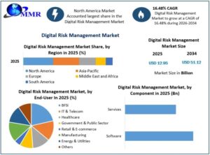 Digital-Risk-Management-Market-3-768x568
