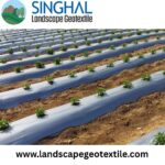 Mulch film Landscape logo