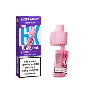 lost mary bm6000 vape kit