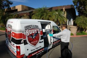 Pest Control Near Me