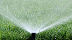 irrigation pipe