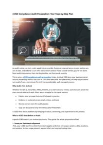 vCISO Compliance Audit Preparation